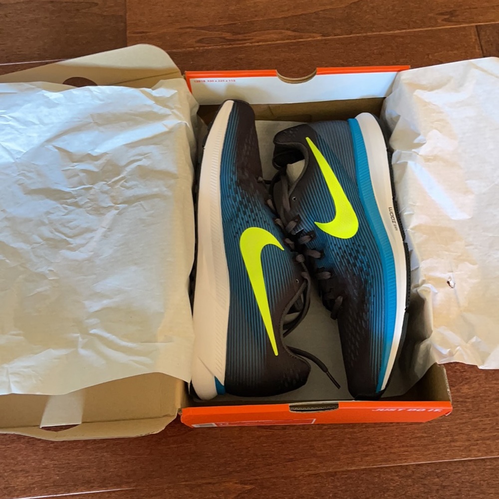 Nike Pegasus brand new
